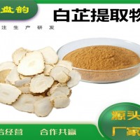 白芷提取物 白芷粉 植物提取物