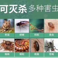 滅鼠四害防治除蟲滅鼠