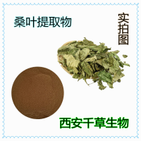 桑葉提取物藥食同源 廠家生產(chǎn)植物提取物定做濃縮浸膏