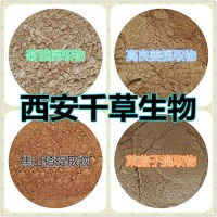 紫蘇葉提取物廠家生產(chǎn)植物提取物易溶粉