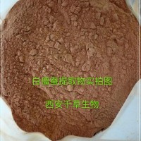 僵蠶提取物  廠家生產動植物提取物 定做流浸膏 顆粒