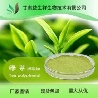 綠茶提取物 10:1 綠茶茶多酚
