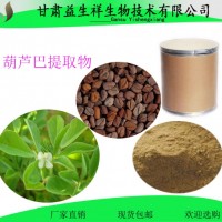 葫蘆巴提取物 葫蘆巴浸膏  葫蘆巴堿