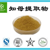 源頭廠家 知母提取物10:1 知母濃縮粉 水溶知母粉 批發