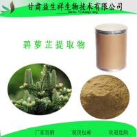 碧蘿芷提取物  原花青素98%