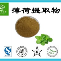 薄荷提取物20:1 水溶性薄荷粉 薄荷濃縮粉 廠家現貨批發