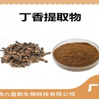 丁香提取物 丁香粉 藥食同源原料
