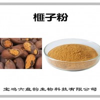 榧子濃縮粉 廠家發貨