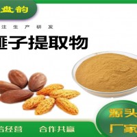 榧子提取物 榧子粉 藥食同源原料