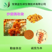 沙棘粉99%     沙棘果粉         固體飲料
