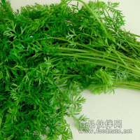 蘿卜纓提取物   蘿卜葉提取物