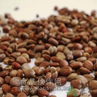 萊菔子提取物  萊菔子粉