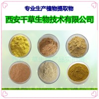 金銀花水溶粉 廠家定制天然濃縮烘焙干燥性味純正