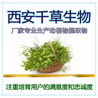 芫荽水溶粉 廠家生產植物提取物 定做流浸膏顆粒