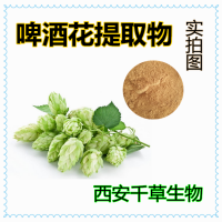 啤酒花提取物 廠家生產定制植物提取物 啤酒花浸膏 啤酒花顆粒
