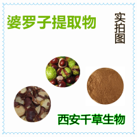 婆羅子提取物 婆羅子濃縮粉 婆羅子浸膏粉 婆羅子浸膏顆粒