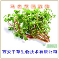 耐旱菜提取物耐旱菜濃縮汁粉