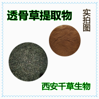 透骨香提取物透骨香浸膏 廠家生產多規格透骨香濃縮水溶粉