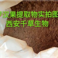 羅漢果水溶粉藥食同源 廠家生產(chǎn)植物提取物 流浸膏 顆粒