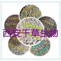 黑豆水溶粉廠家定制植物提取物 定做濃縮浸膏
