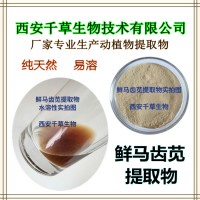 馬齒莧水溶粉 廠家定制植物提取物定做馬莧菜浸膏