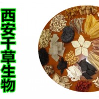 葵菜子提取物 廠家生產(chǎn)植物提取物葵菜子濃縮浸膏