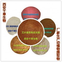 薰衣草提取物 廠家生產植物提取物定做濃縮浸膏