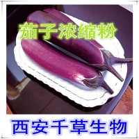 茄子濃縮粉 茄子提取物 廠家定制蔬菜濃縮汁粉 茄子浸膏