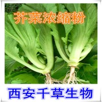 水溶性芥菜天然提取物芥菜濃縮粉廠家專業定制植物濃縮浸膏