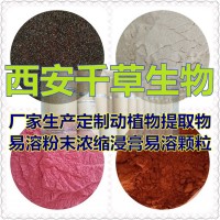 水溶性水芹菜天然提取物水芹菜濃縮汁粉