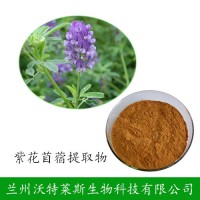 紫花苜蓿提取物 10：1 紫花苜宿甙 紫花苜蓿粉
