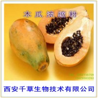 萬壽果天然提取物木瓜濃縮粉 廠家定制宣木瓜浸膏