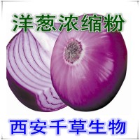 洋蔥提取物專業按需定制天然濃縮低溫烘焙干燥性味純正易溶
