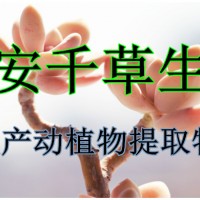 竹茹提取物 廠家生產竹茹易溶粉