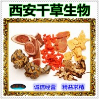 茯苓水溶粉廠家定制天然濃縮烘焙干燥性味純正 定做流浸膏