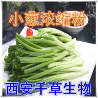 小蔥天然提取物小蔥濃縮粉廠家生產植物提取物