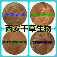蓽茇提取物藥食同源 廠家生產植物提取物定做濃縮浸膏