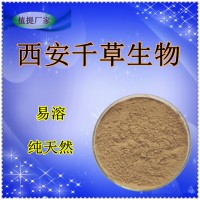 黑胡椒水溶粉廠家定制天然濃縮烘焙干燥性味純正