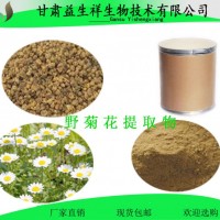 野菊花提取物   益生祥    量大從優
