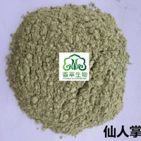 仙人掌粉供應商 固原仙人掌濃縮粉廠家批發 干仙人掌全粉
