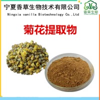 菊花提取物廠家供應 野菊花提取液 菊花粉10:1 甘菊黃銅