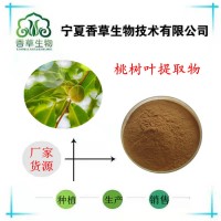 桃樹葉提取物80目山桃葉濃縮粉廠家供應(yīng)水溶性桃葉粉36:1