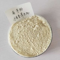 洋姜純粉供應 寧夏菊芋粉批發 洋姜全粉 鬼子姜 菊芋粉價格