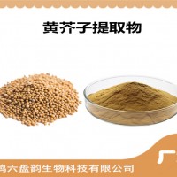 黃芥子提取物 黃芥子粉 藥食同源原料