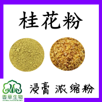 桂花粉80目寧夏廠家桂花提取物 桂花提取液  桂花提取粉