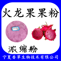 火龍果提取物  速溶火龍果粉80目  紅心火龍果花青素廠家