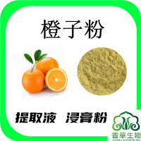 橙子提取物橙子粉速溶粉廠家供應橙子凍干粉