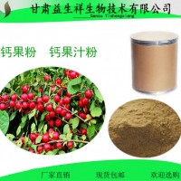 鈣果 液 鈣果酵素 鈣果提取物 甘肅益生祥 鈣果汁粉