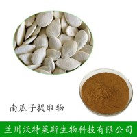 南瓜籽提取物 南瓜子粉 南瓜籽蛋白  現(xiàn)貨供應(yīng)