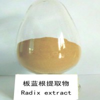 板藍根提取物 醇提 板藍根多糖供應 板藍根提取液 土龍根浸膏